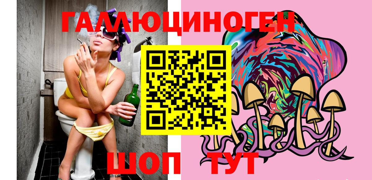 Кировск  Псилоцибиновые грибы мухоморы  Псилоцибиновые грибы GOLDEN TEACHER  купить   Вход с VPN 